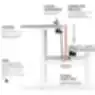 XRAY Ergonomic Desk: Single and Bench Sit-Stand System with Double Cable Tray