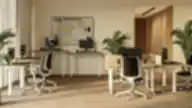 Modernus bendradarbiavimo biuras su baltos spalvos ergonominiais stalais, reguliuojamo aukščio stalais, šviesaus medžio detalėmis, augalais ir natūralia šviesa