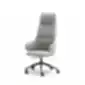 Ergonomiška biuro kėdė su aukštu atlošu ir ratukais, pilkos spalvos.